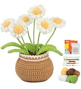 kgxulr Crochet Kit for Beginners, Little Daisy Crochet Kit Beginner Crochet Starter Kit for Compl...
