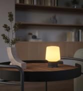 Mushroom table lamp