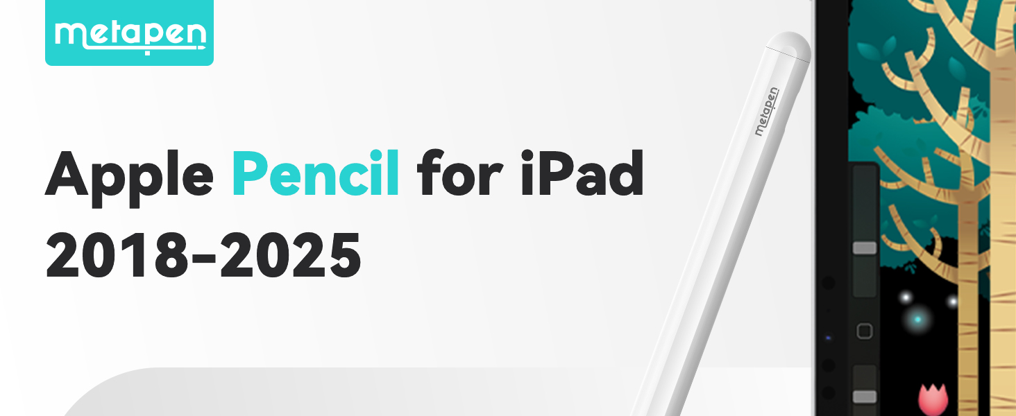 iPad pencil