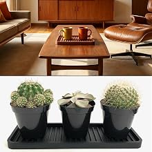 coffee table beverage tray plant display tray