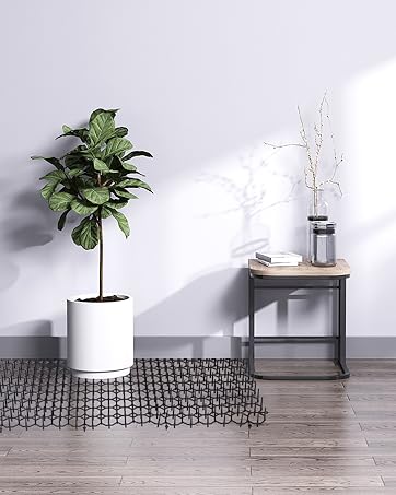 https://m.media-amazon.com/images/S/aplus-media-library-service-media/1186ee57-2e1d-4bef-8053-1889ac97d595.__CR0,0,724,906_PT0_SX362_V1___.jpg