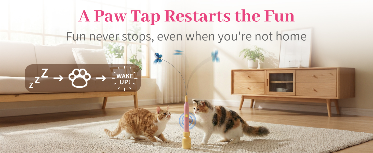 Two cats tap the butterfly toy to restart play, keeping entertained alone while you’re out.