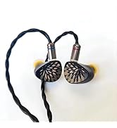 syeindunce TANGZU YuXuanJi TPLX 10mm Topology Dynamic Driver in Ear Monitor Earphones, HiFi Wired...