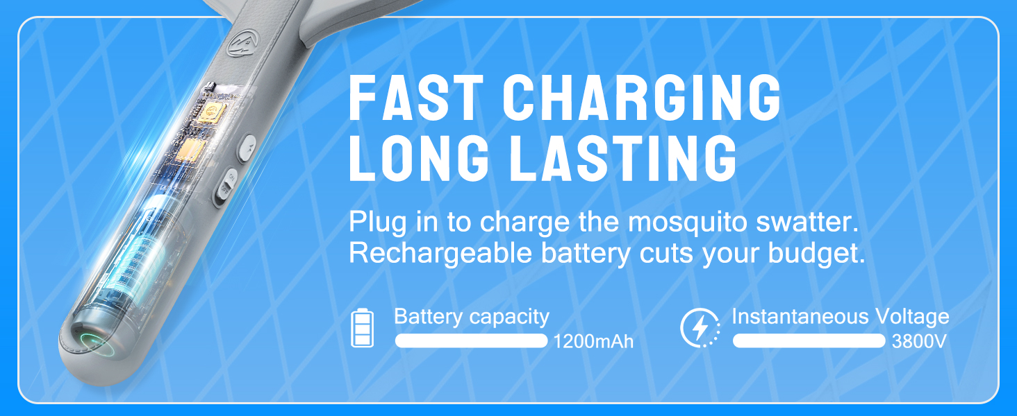 Electric Fly Swatter