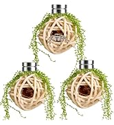 Lanxitown Jumping Spider Enclosure Accessories Jumping Spider Hide Set of 3 Handmade Rattan Ball ...