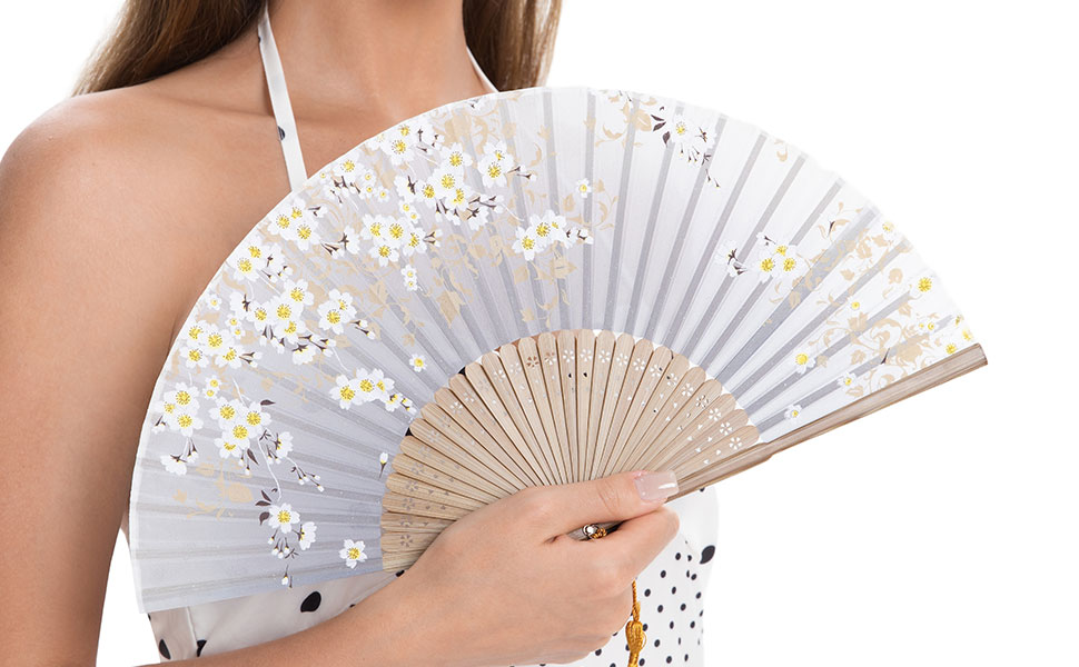 Folding Hand Fan