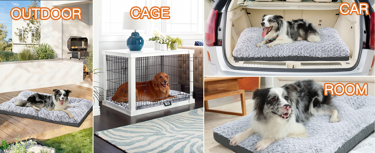 dog bed