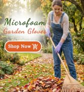 Woman gloves