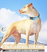 baapet dog collar