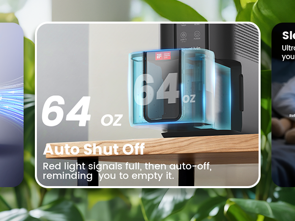 dehumidifier for rv