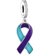 BSFJTY 925 Sterling Silver Charms, Pink Purple Blue Green Ribbon Cancer Loss Survivor Faith Menta...