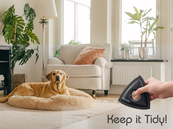 pet hair removal tool