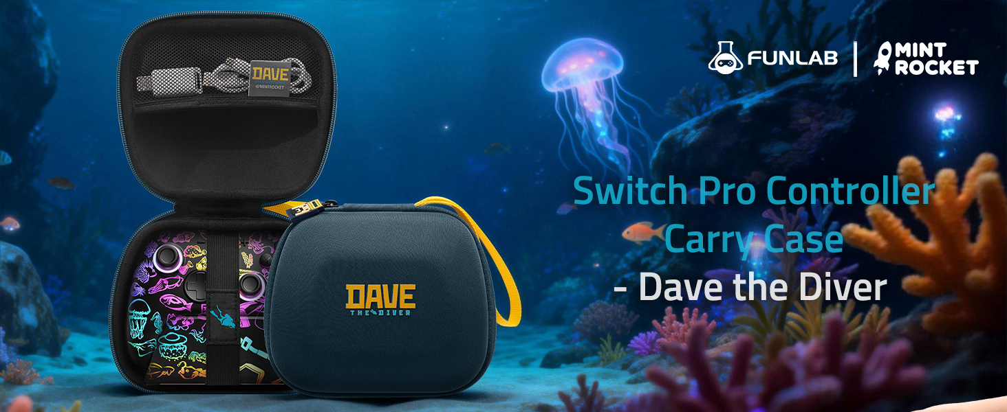 Switch Pro Controller Case