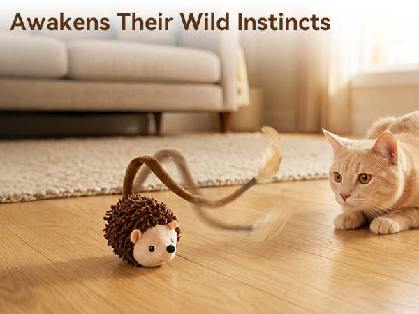 cat toy interactive hedgehog