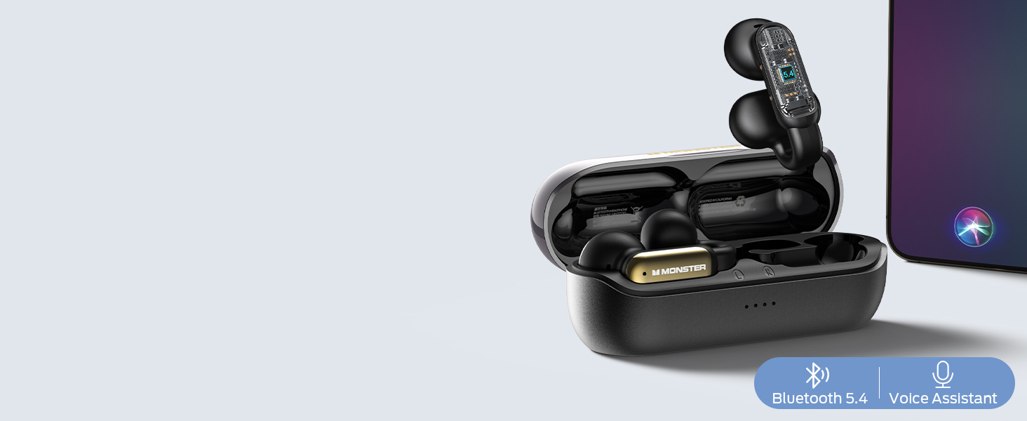 wireless earbuds