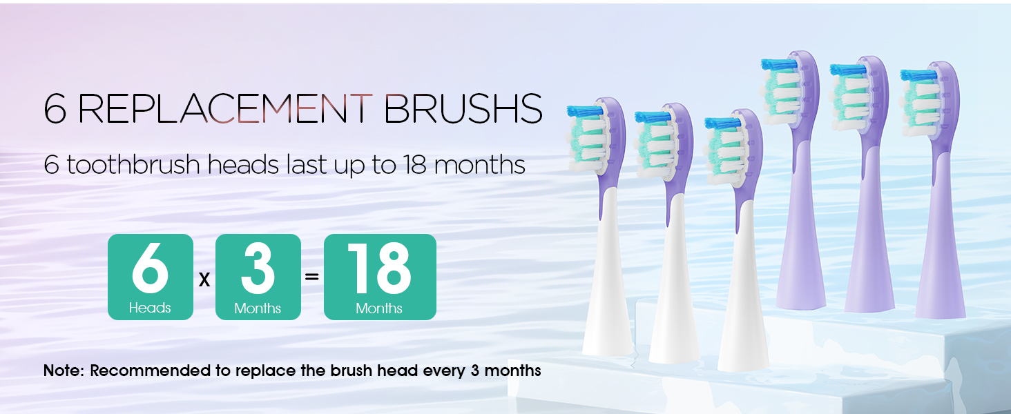 6 Replacement Brush