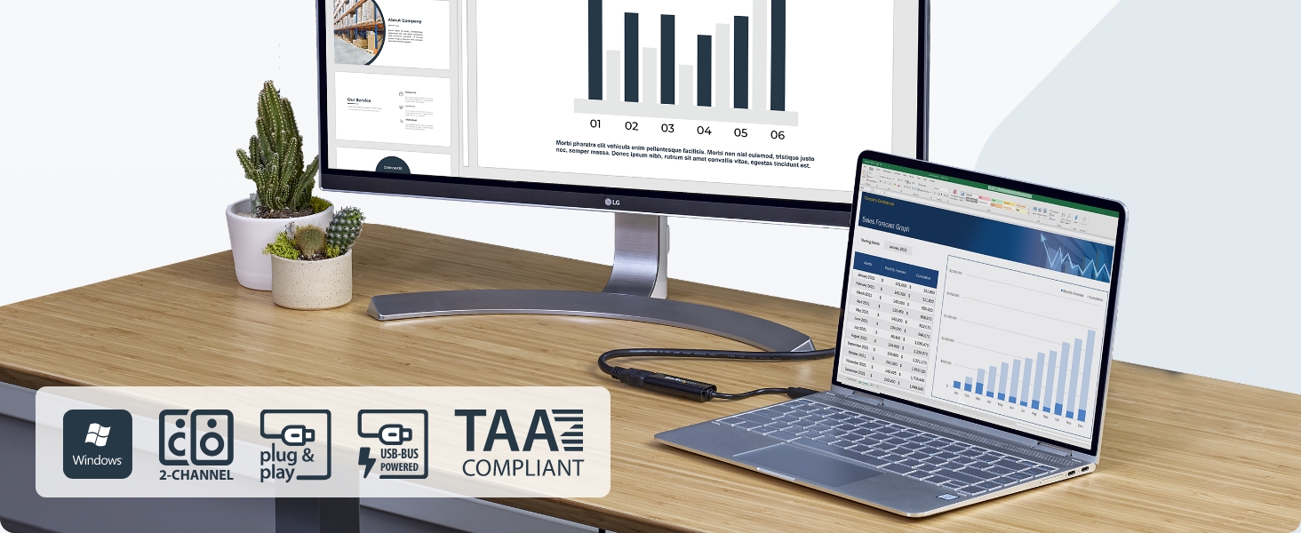 USB-A to HDMI Display Adapter