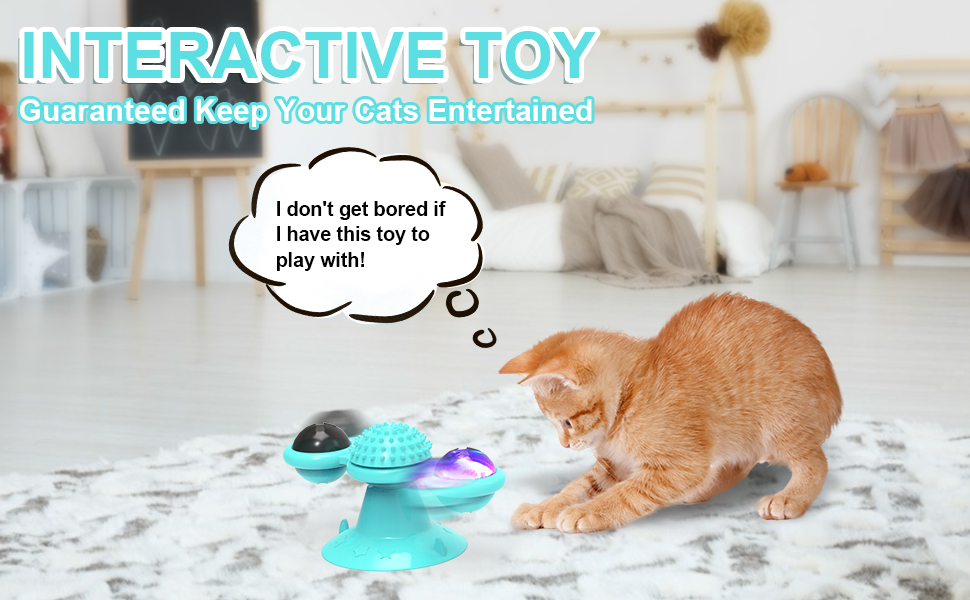 cat toys