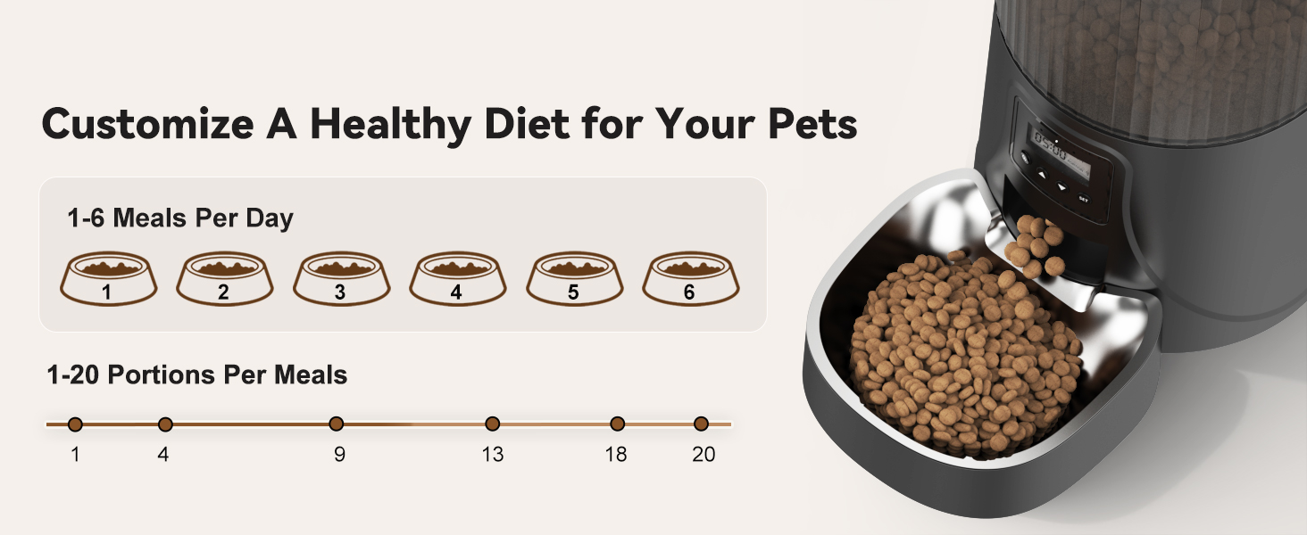 cat feeder automatic