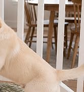 Stair Treads for Wooden Steps