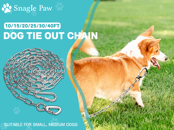 dog chain leash