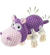 TOOPTATE Squeaky Dog Toy - Plush Interactive Chew Toy for Large, Medium and Small Dogs, Keeps The...