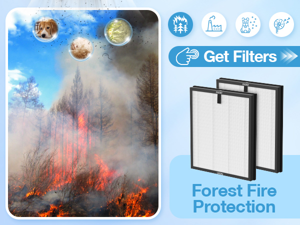 Air Purifier Replacement Filter for ECOSELF HAP603 Air Purifier