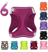 PWOD Dog Harness with Leash Set, No-Pull Step-in Reflective Pet Harness with 1 Leash Clips, Adjus...