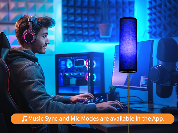 Frideko Black Floor Lamp with music sync and Mic modes