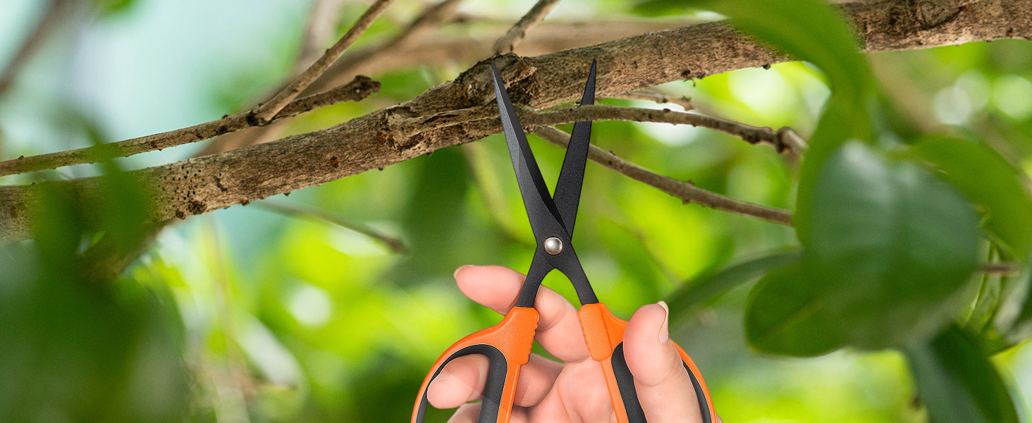 garden scissors