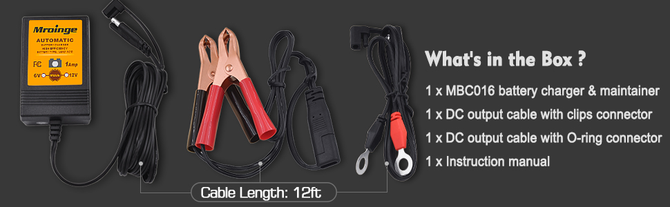 trickle battery charger
