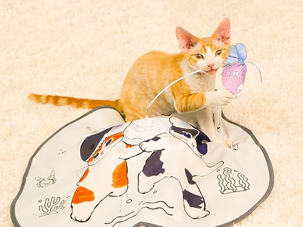 cat toy