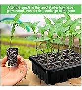 Seed starter