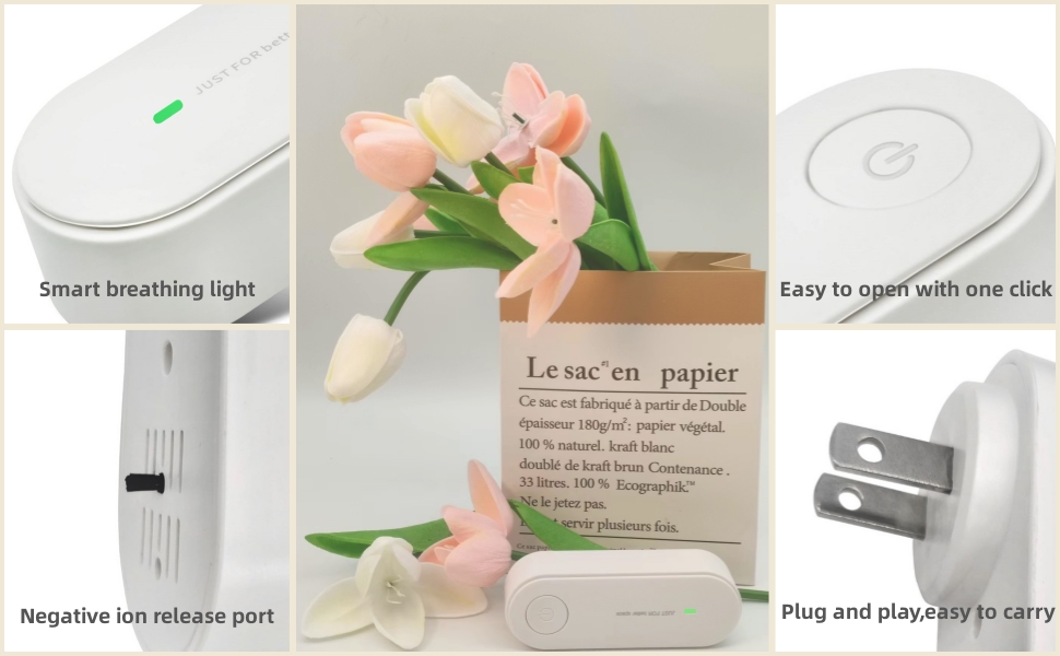 Negative Ion Generator
