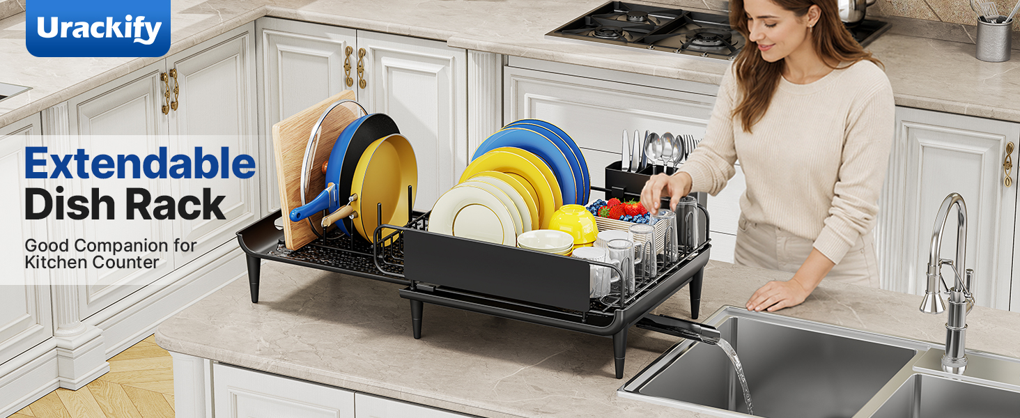 Extendable Dish Rack