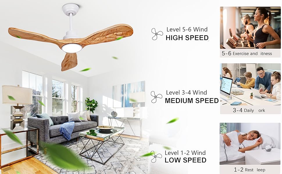 ceiling fan