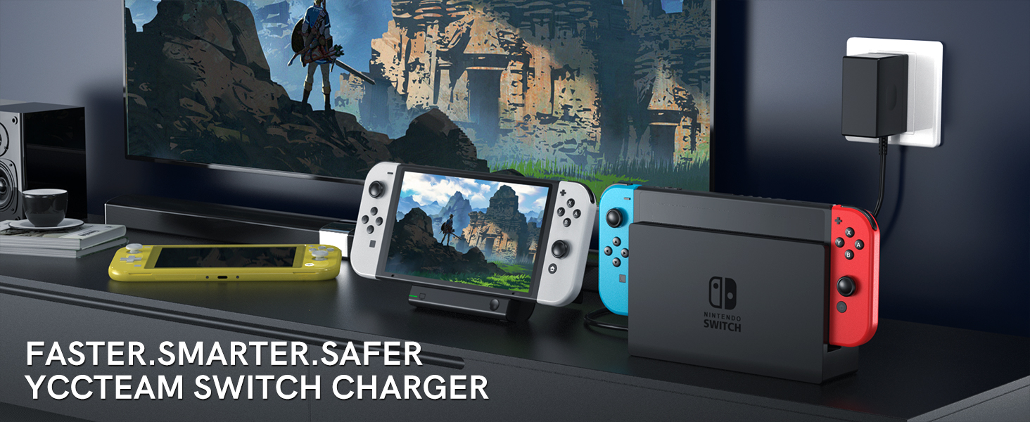 Nintendo Switch charger