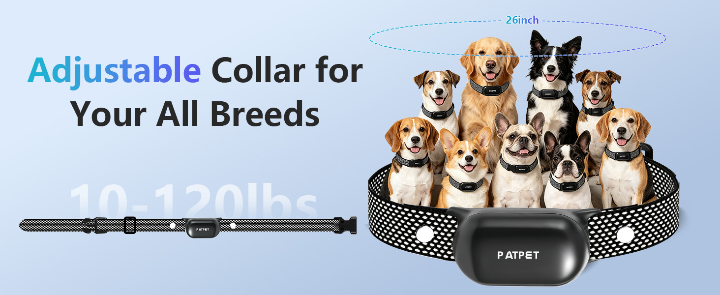 Dog Training Collar with Remote