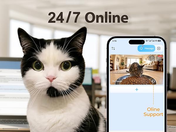 automatic cat feeder
