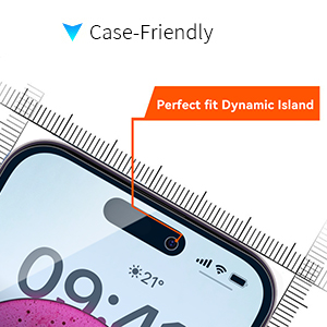 Perfect fit Dynamic Island