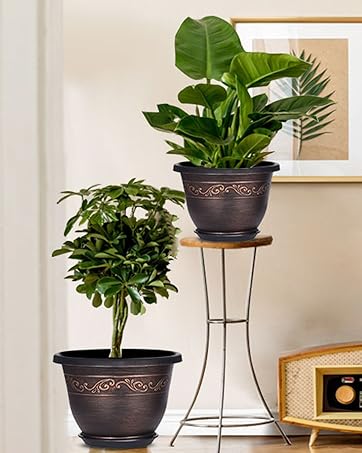 plant pot indoor