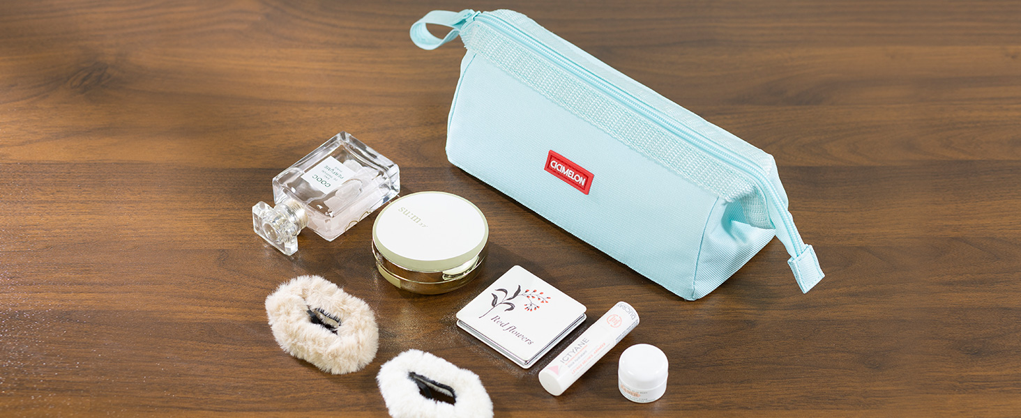 chic make-up travel bag