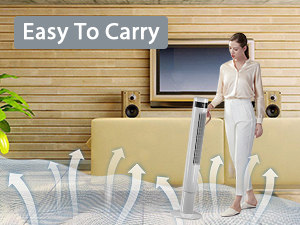 easy carry