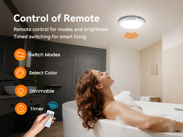 Motion Sensor Ceiling Light