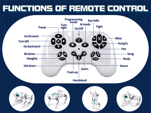 remote
