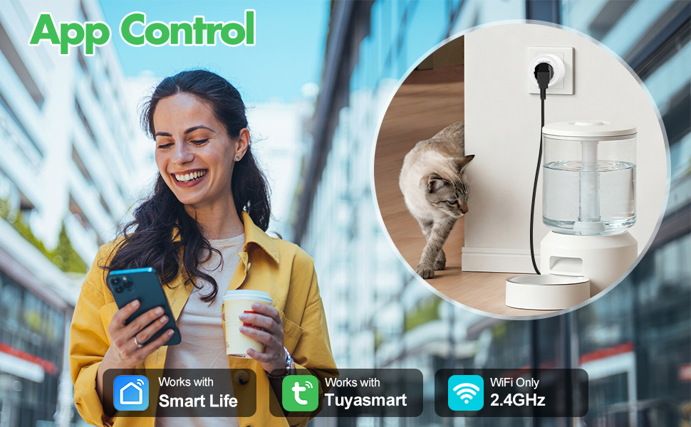 smart plug mini
