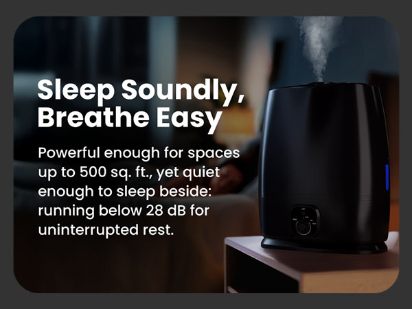 Everlasting Comfort 6L Humidifiers for Bedroom