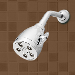 Hotel Showerhead
