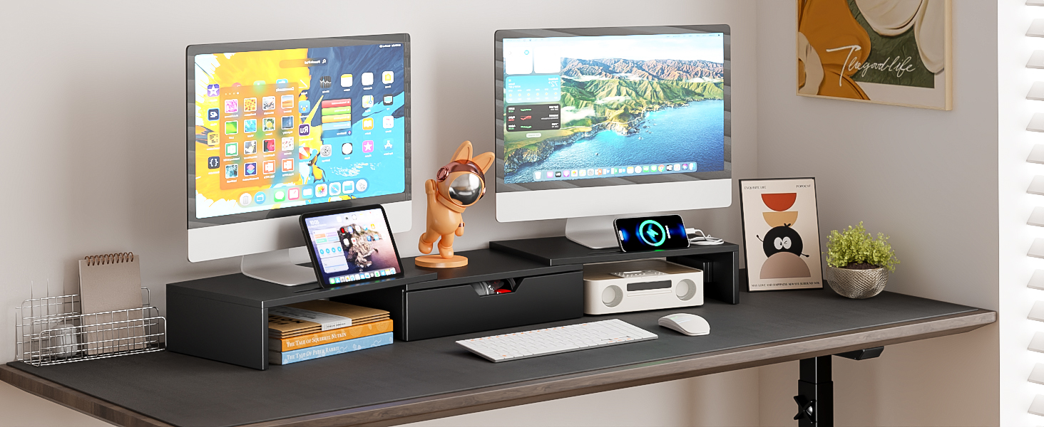 dual monitor stand