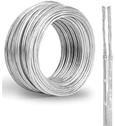 20 Gauge PVC Covered Copper Wire 30FT, UL 2468 20 AWG 2 Conductor Tinned Copper 20/2 Flexible Tra...